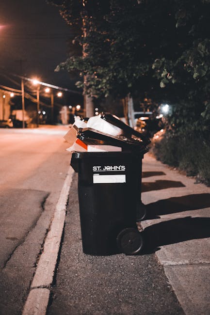 Lewisham council rules for bulky rubbish collection explained